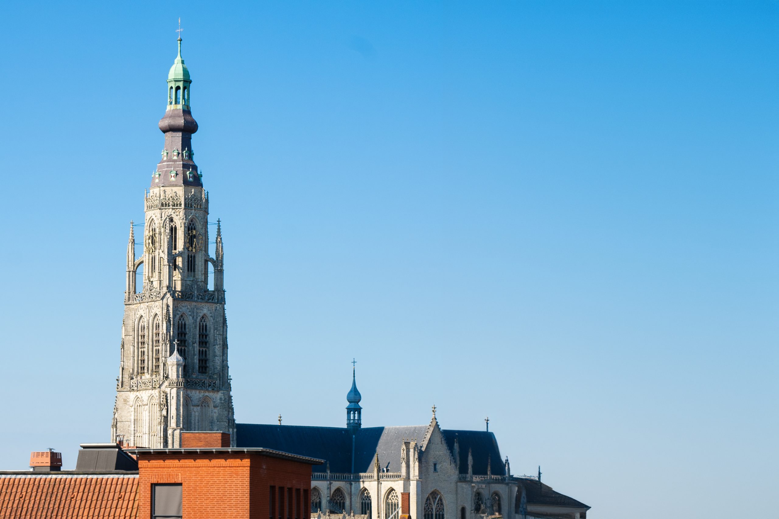 Torenbeklimming Grote Kerk tijdens Open Monumentendag 🧗‍♂️