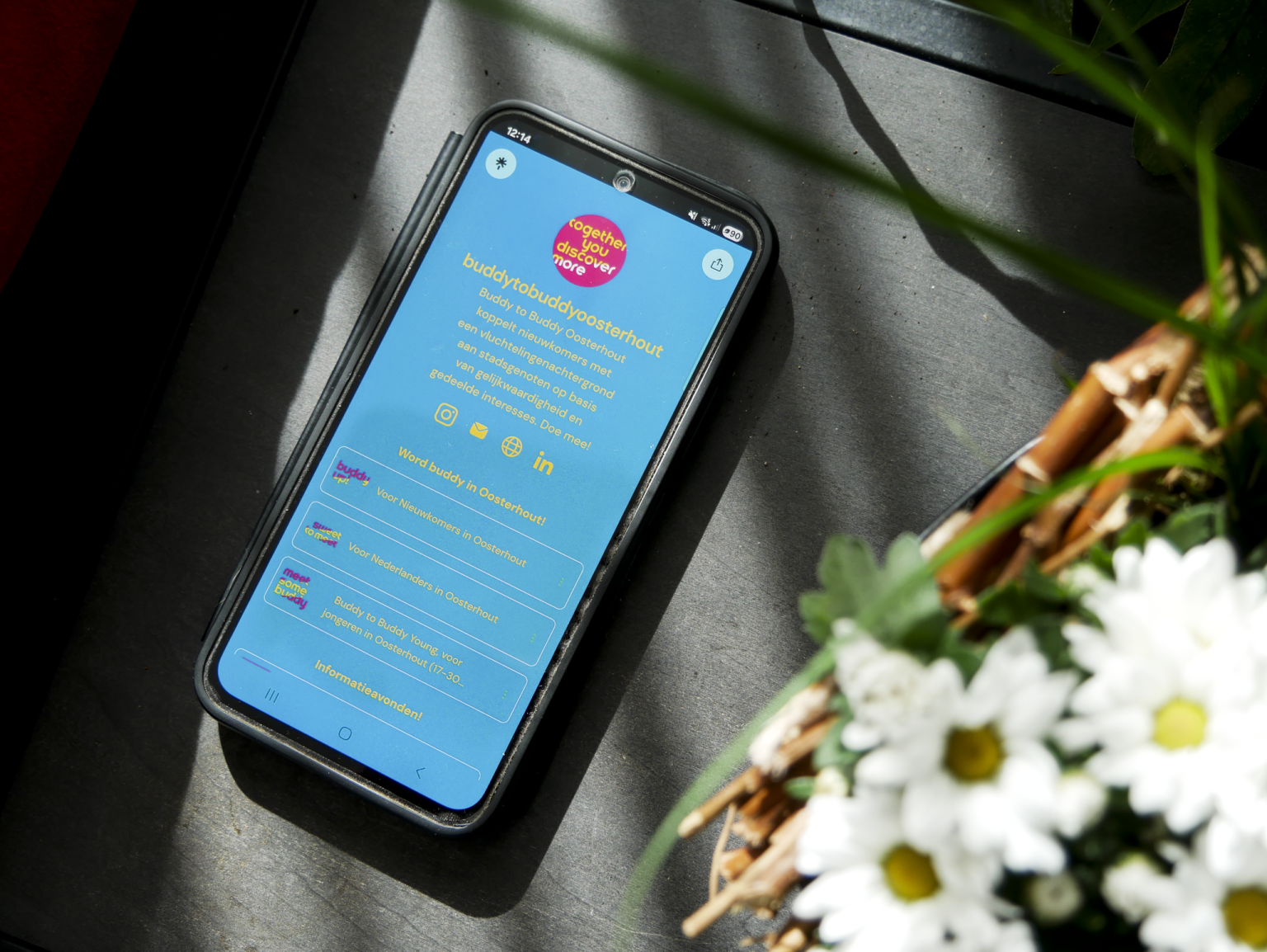 Alles op één plek: onze Linktree - Buddy to Buddy